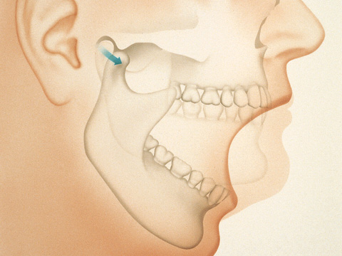 Masnsion House Dental Practice